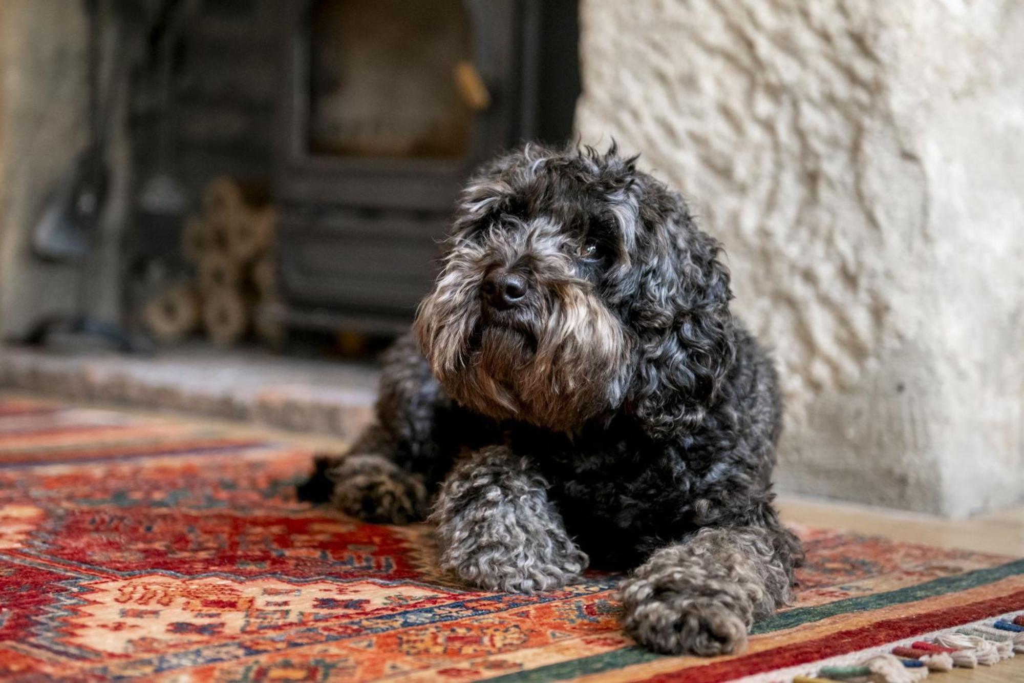 Jenny Wren Cottage Middleham Luaran gambar